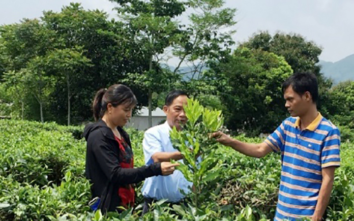 nông nghiệp 