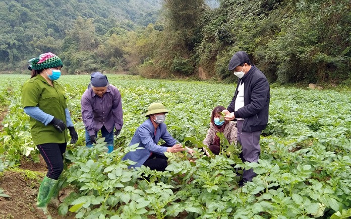 vùng Tây Bắc