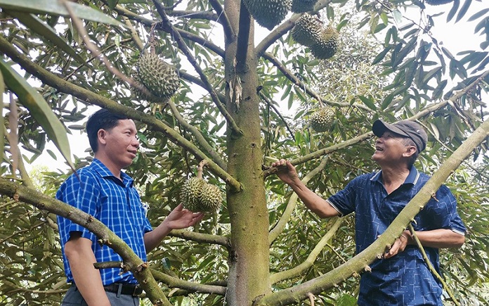 nông nghiệp