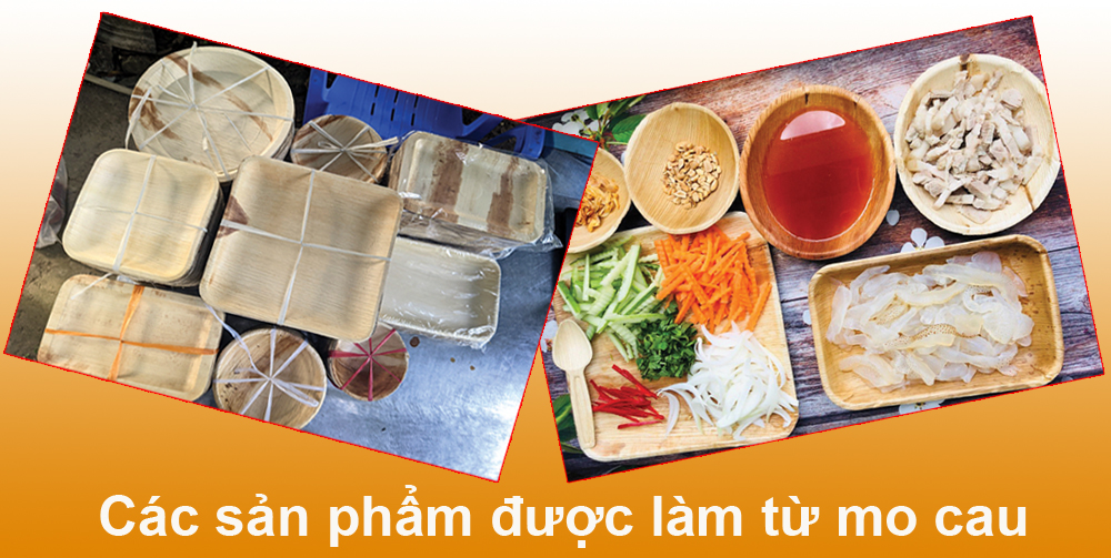 các sản phẩm được làm từ mo cau