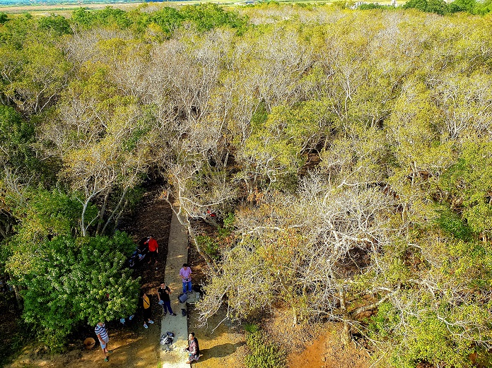 Phong cảnh Rú Chá nhìn từ trên cao.