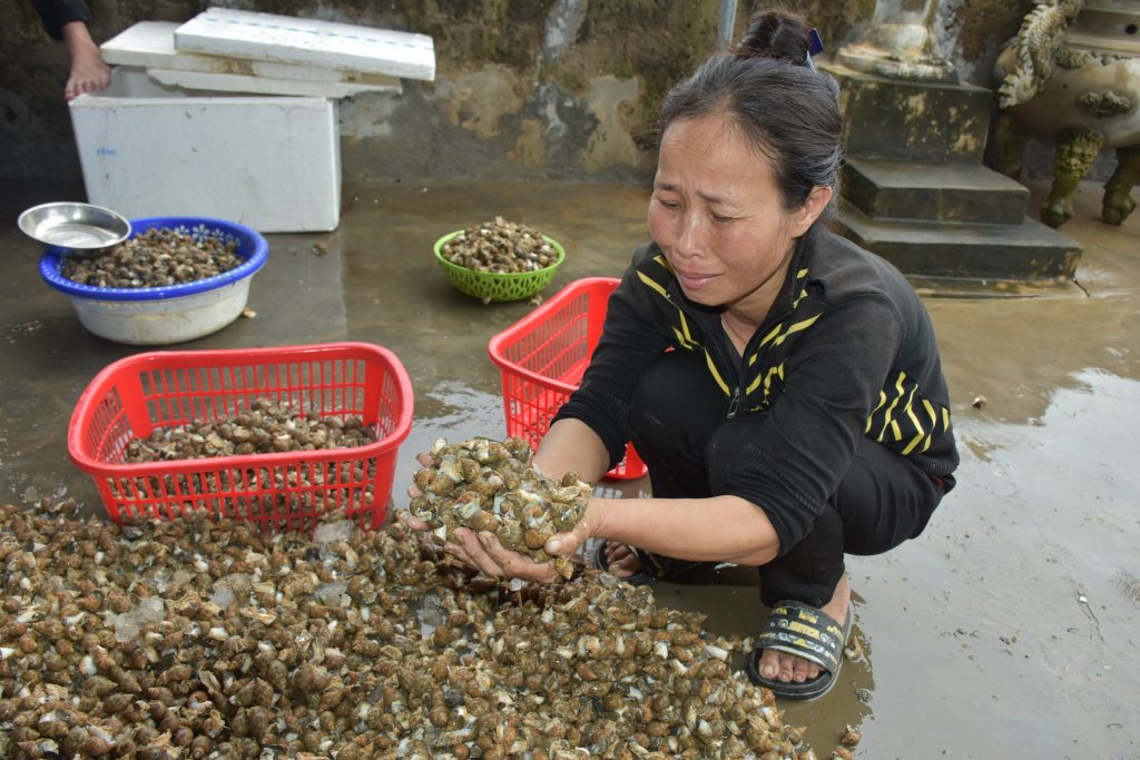 3.Bà Hoa đau đớn khi thành quả của mình bị nước lũ cuốn trôi.