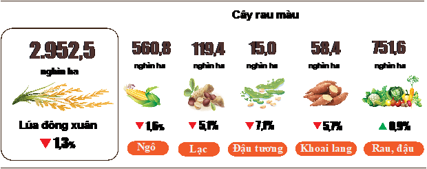 Hình 1. Diện tích gieo trồng một số cây hằng năm (Tính đến trung tuần tháng 6/2023)