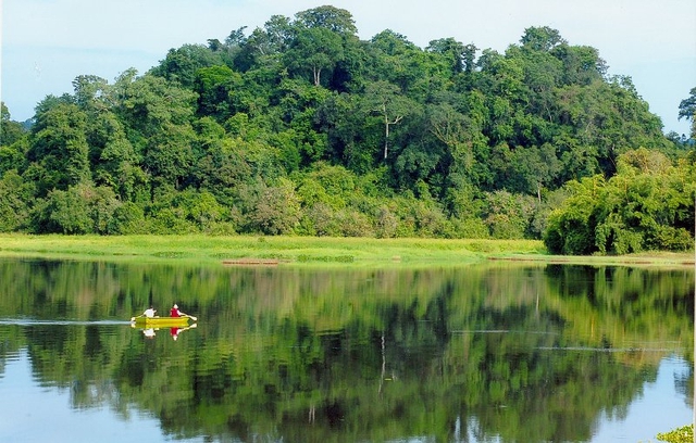 Rừng Nam Cát Tiên - 