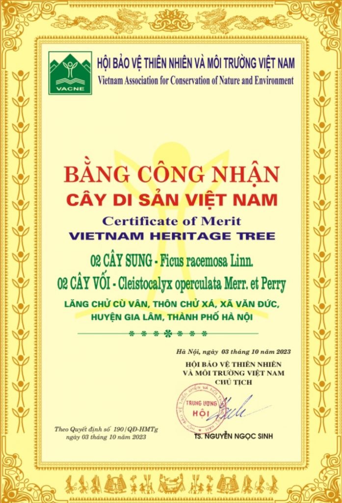 bằng công nhận cây di sản việt nam