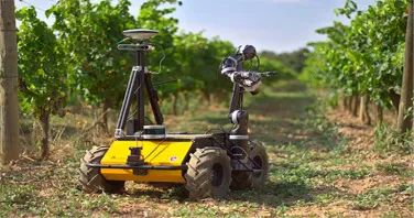 UGV của tiểu dự án GRAPE phù hợp để vận hành tại các vườn nho.