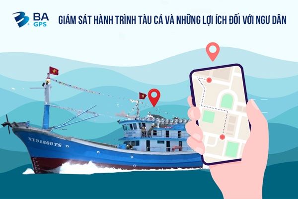 Hướng dẫn tổ chức triển khai thực hiện hệ thống truy xuất nguồn gốc thủy sản khai thác điện tử