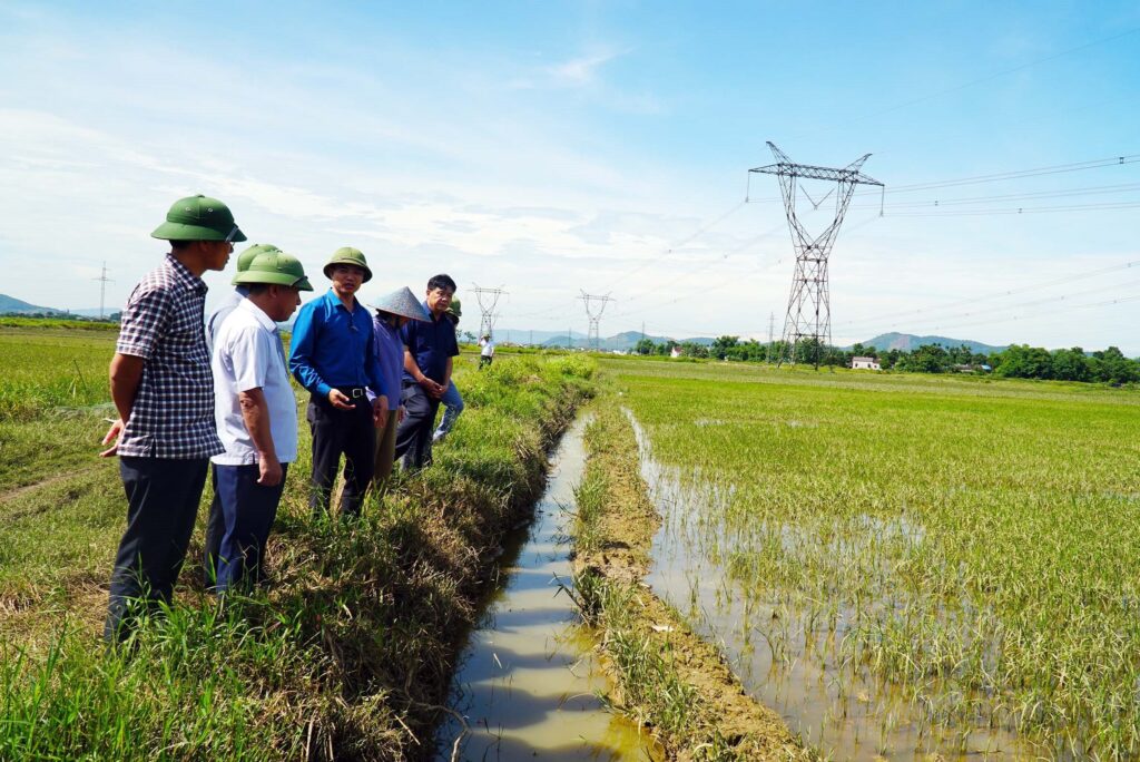 Nghệ An: Hơn 5.540 ha lúa và hoa màu bị thiệt hại do mưa lớn