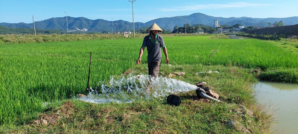 Nhiều diện tích lúa ở Nghệ An có nguy cơ bị chết khô do thiếu nước