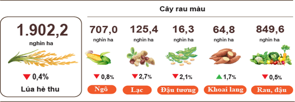 Tháng 7/2024: Chăn nuôi phát triển ổn định, tình hình dịch bệnh gia súc, gia cầm được kiểm soát 