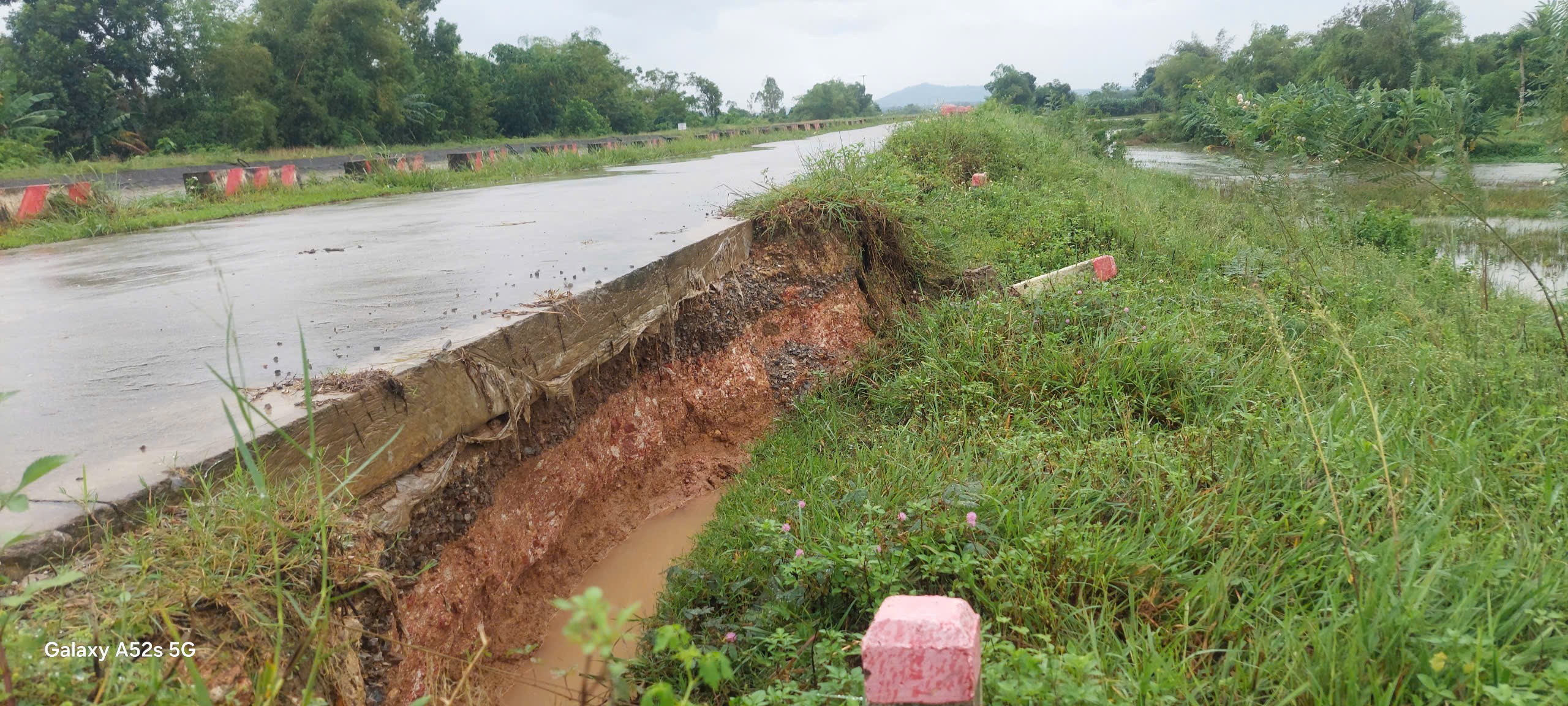 sat-lo-de-nghe-an-stnn-1727419766.jpg