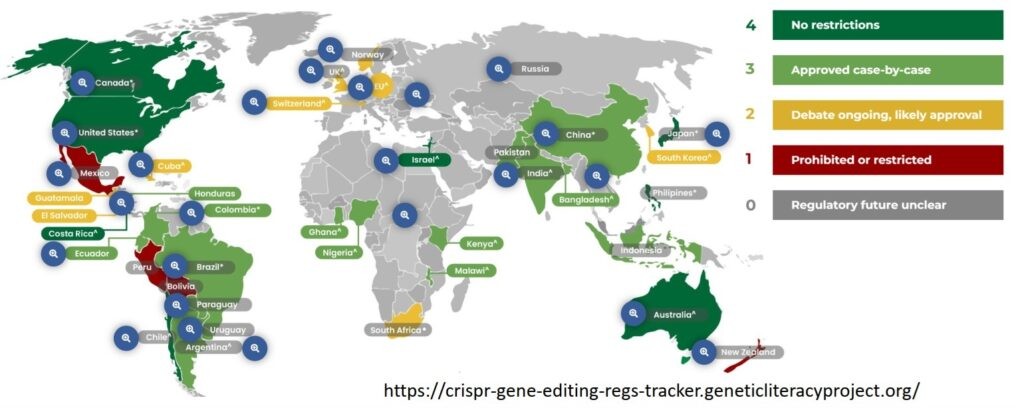 infografia-1024x408-1729829992.jpg