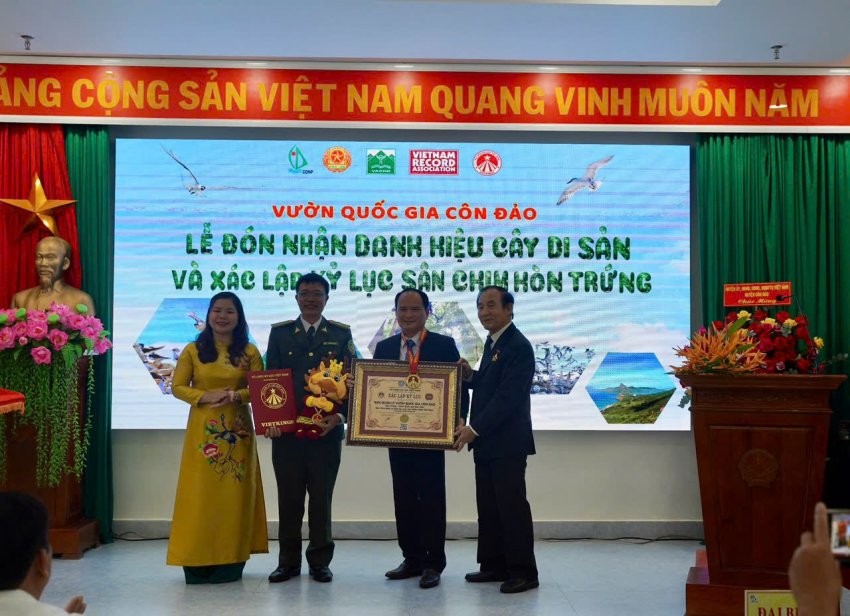 don-nhan-danh-hieu-cay-di-san-vqg-hon-trung-1732842805.jpg