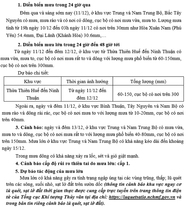 mua-lon-o-trung-bo-stnn-1733889441.png