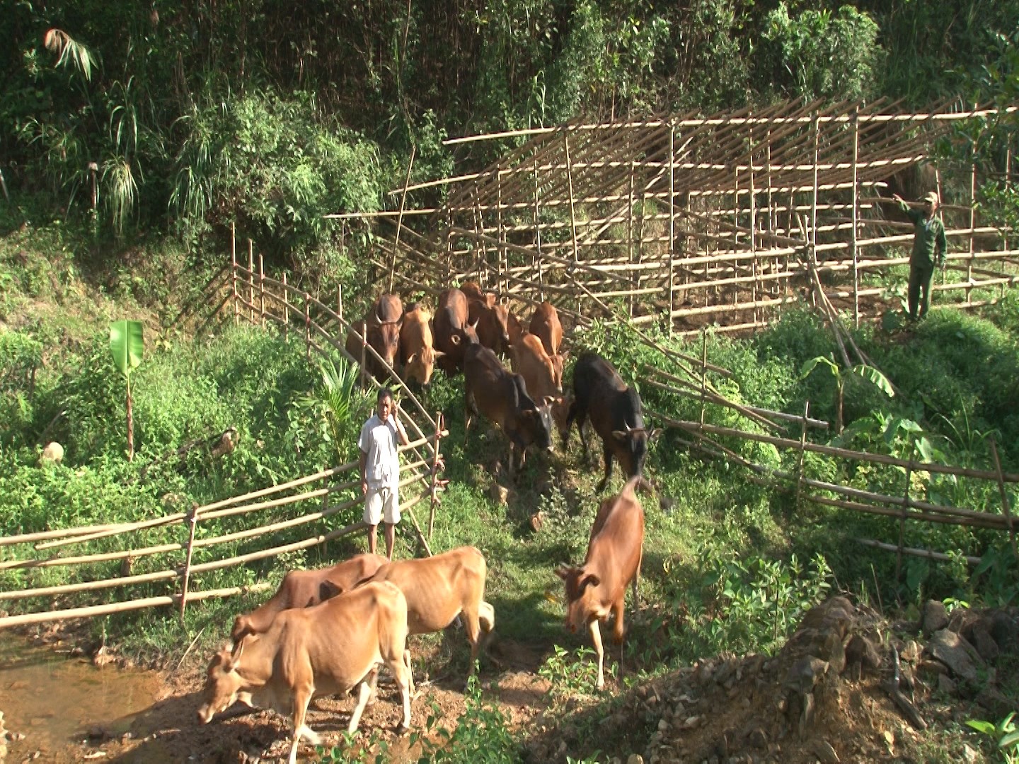 cuu-chien-binh-lam-kinh-te-gioi-sinhthainongnghiep-3-1734940637.jpg