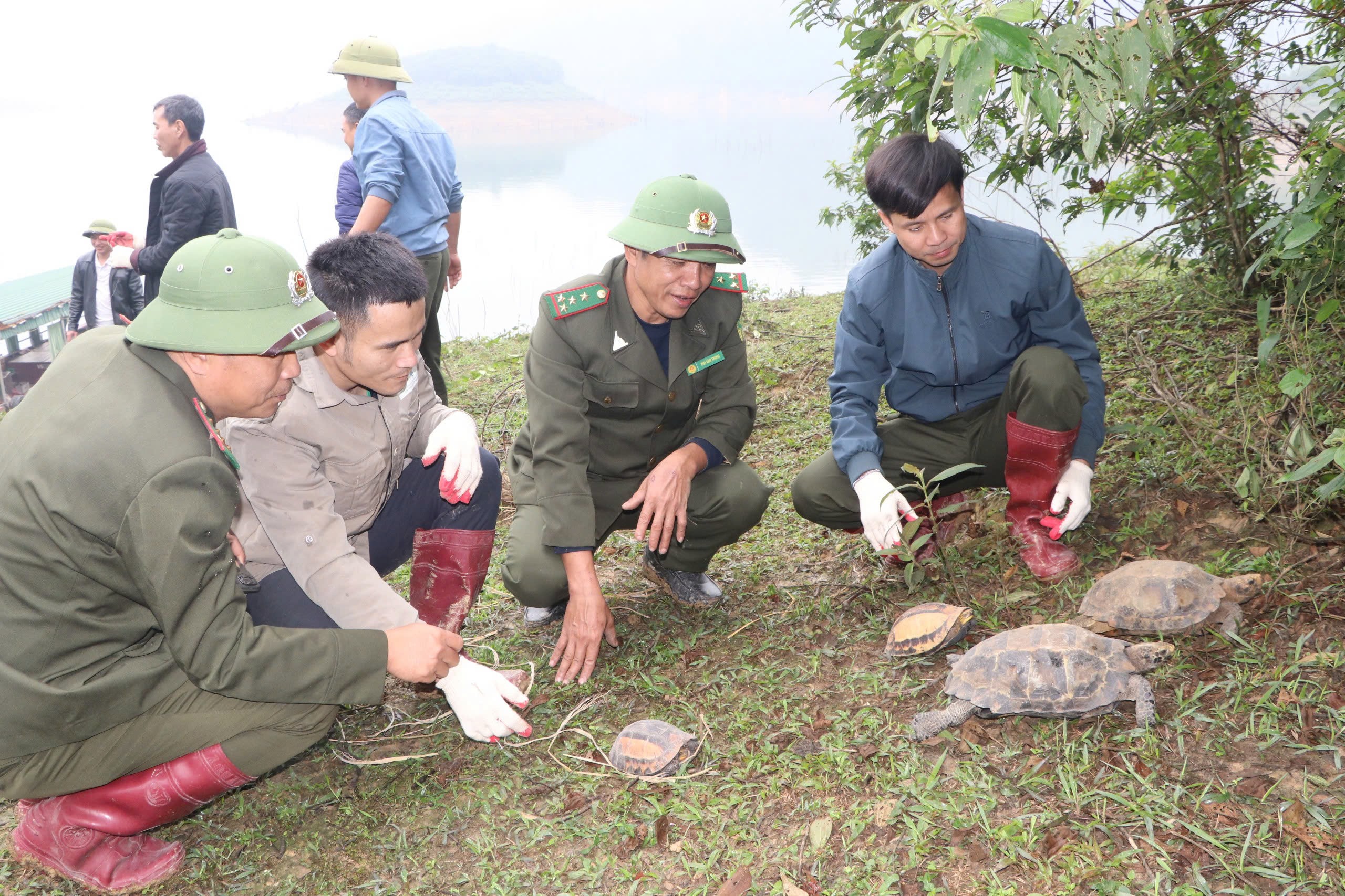 tai-the-dong-vat-hoang-da-tai-vqg-vu-quang-stnn-3-1735805661.jpg