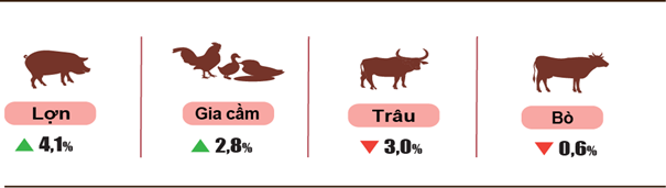 nong-nghiep-nam-2024-stnn-2-1736738207.png