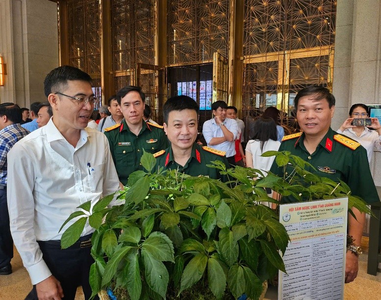 sam-ngoc-linh-stnn-2-1747053200.jpg