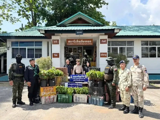thai-lan-bat-giu-sau-rieng-nhap-lau-stnn-2-1747039940.png