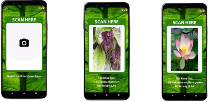 nhan-dang-cay-thuoc-bang-di-dong-stnn-1747638185.png