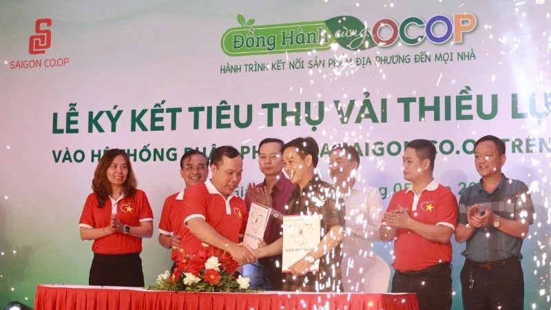 vai-thieu-bac-giang-stnn-1748594645.jpg