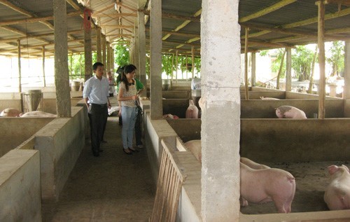 cong-nghe-xu-ly-chat-thai-chan-nuoi-stnn-1749005690.jpg