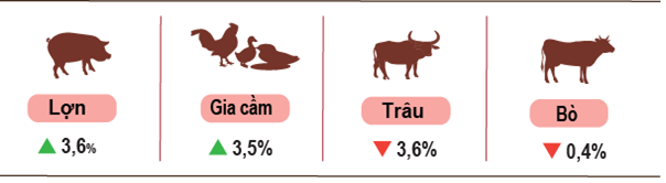 nong-nghiep-thang-5-2025-stnn-2-1749178721.png