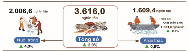 nong-nghiep-thang-5-2025-stnn-3-1749178721.png