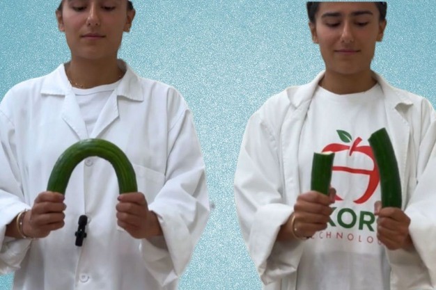 akorn-cucumber-1200-1749715699.jpg