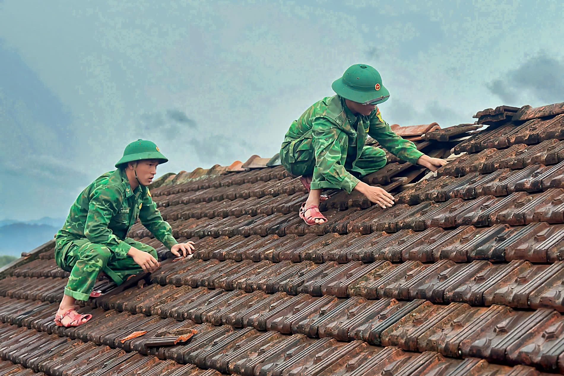 khac-phuc-hau-qua-giong-loc-stnn-3-1750039962.jpg