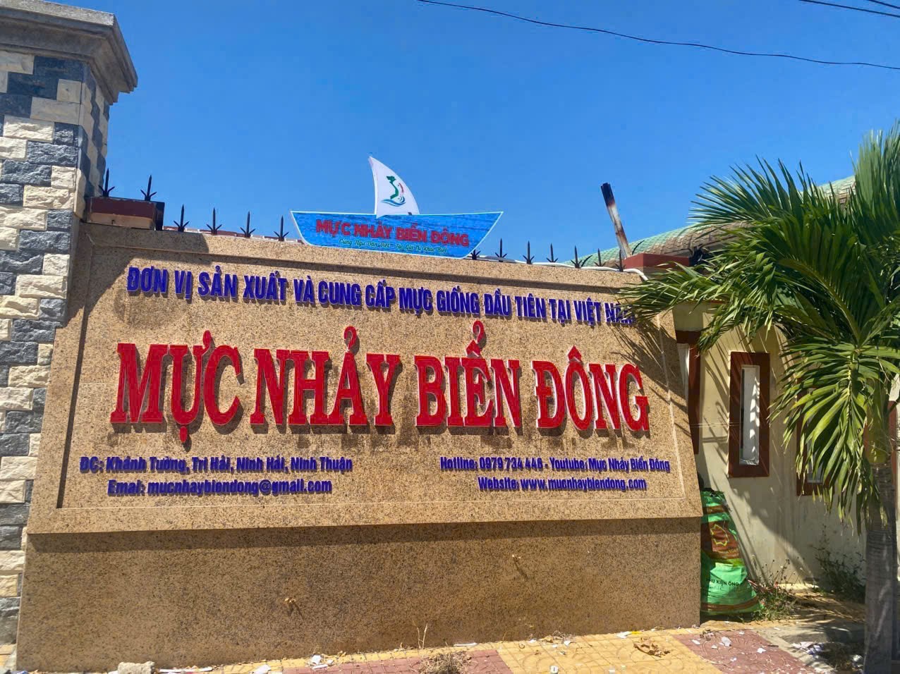 nguyen-ba-ngoc-hai-trinh-xanh-stnn-1-1750820539.jpg