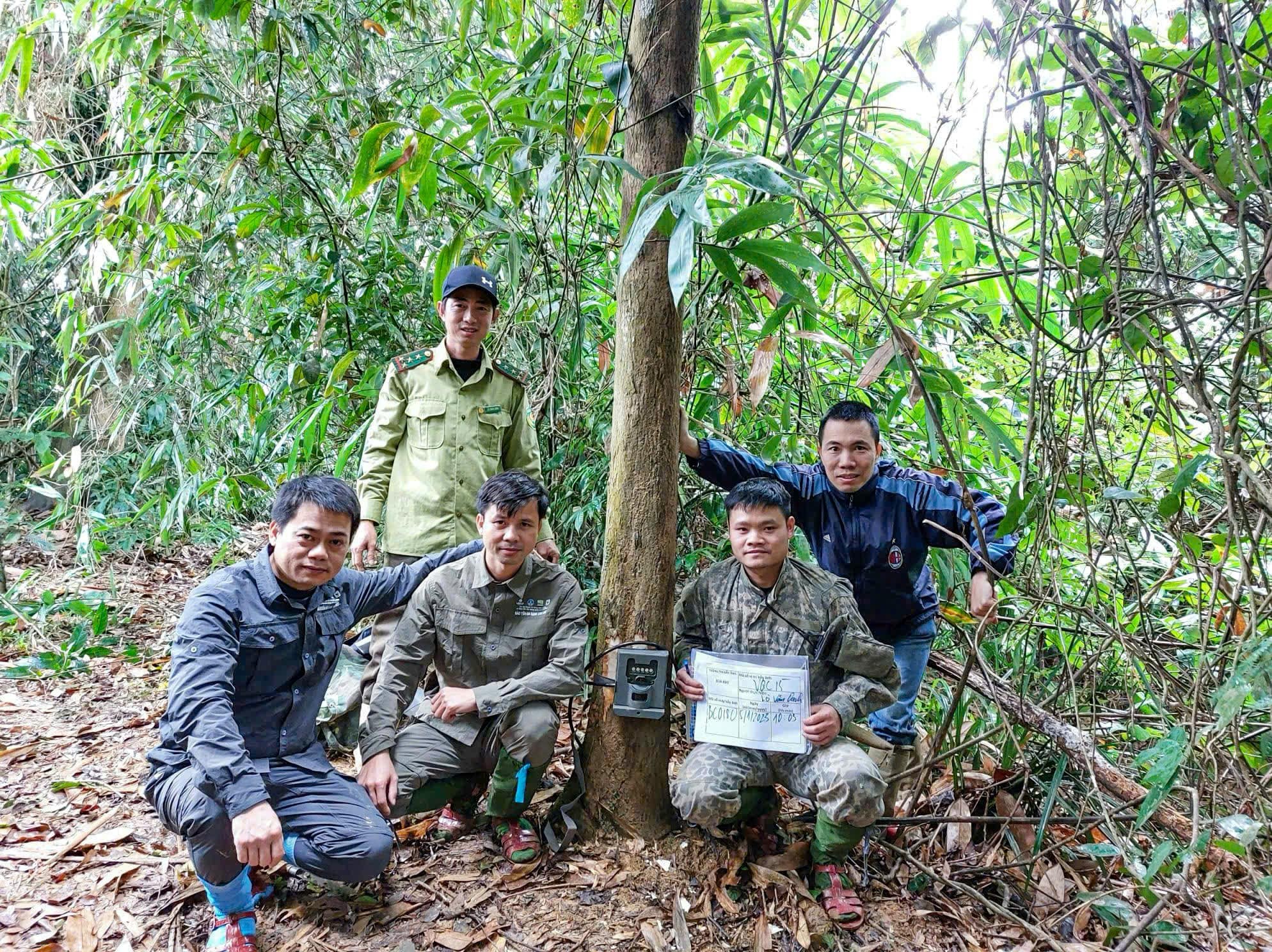 vqg-vu-quang-stnn-2-1750818508.jpg