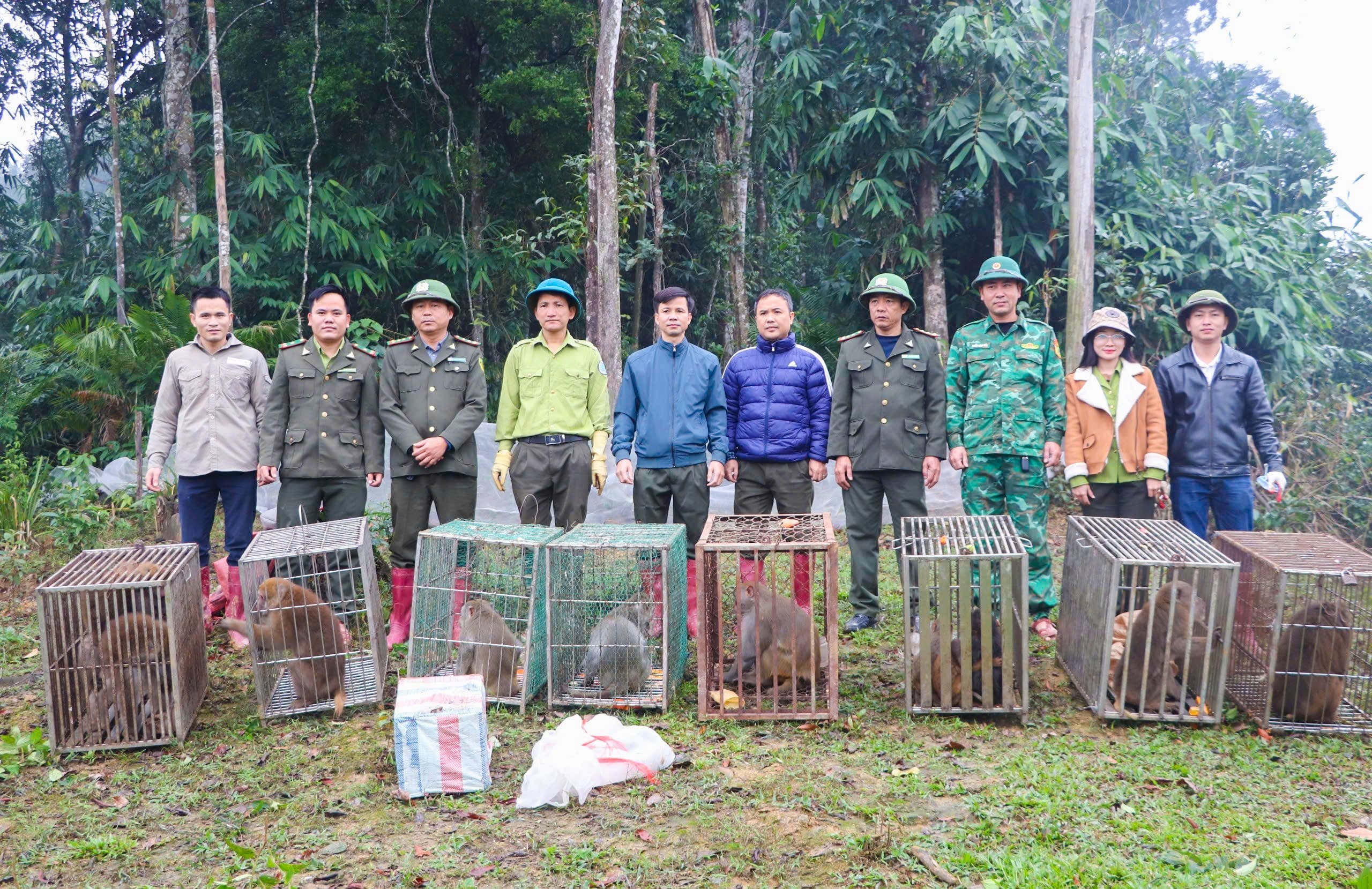 vqg-vu-quang-stnn-3-1750818508.jpg