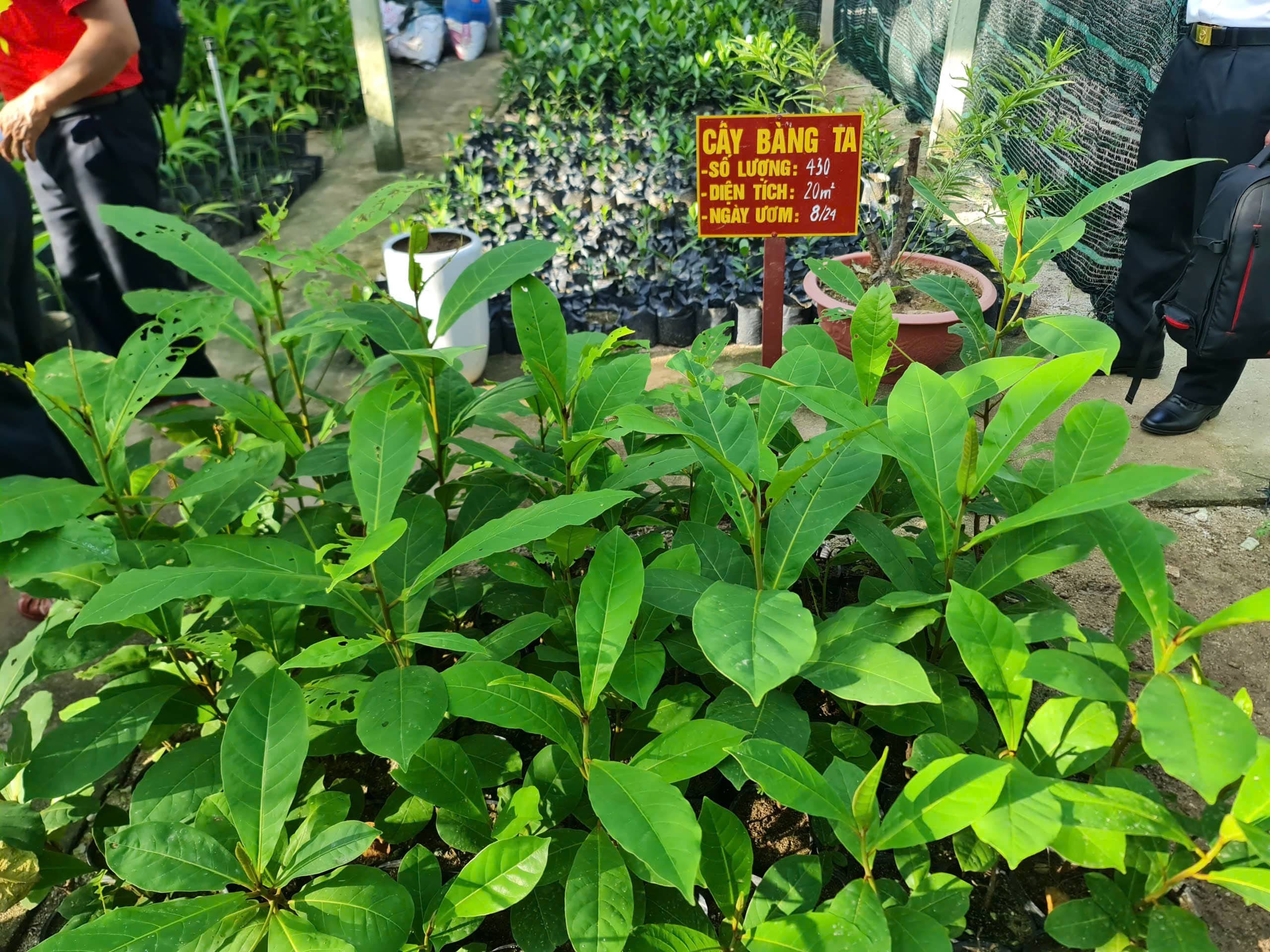 noi-dau-song-12-stnn-1-1750921575.jpg