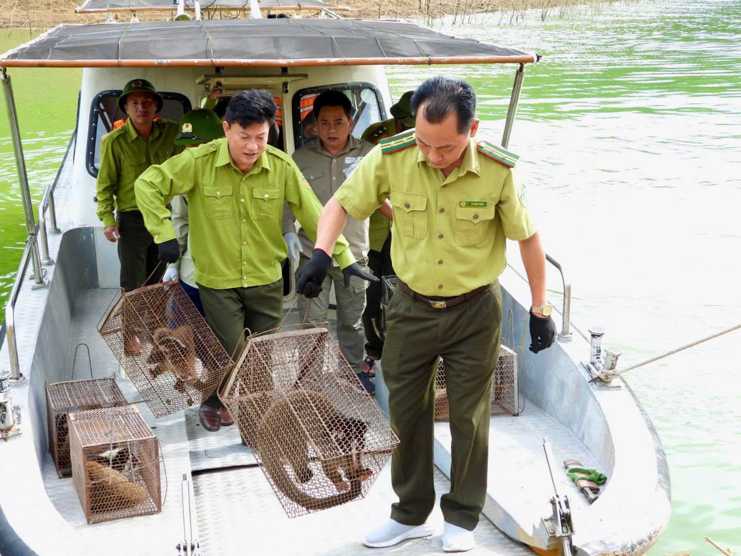 khu-du-lich-sinh-thai-nghi-duong-vqg-vu-quang-1-min-1751511728.jpg