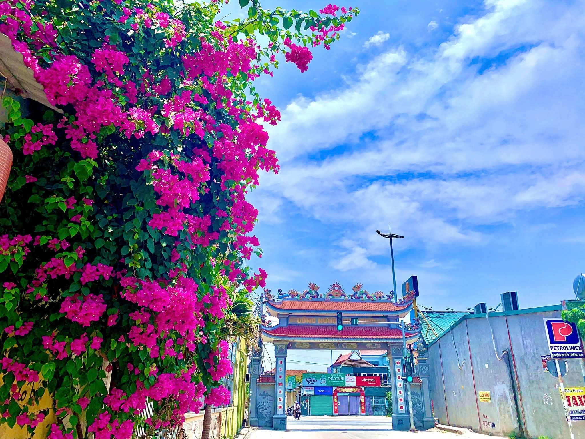 xa-quynh-thach-stnn-2-1751515375.jpg