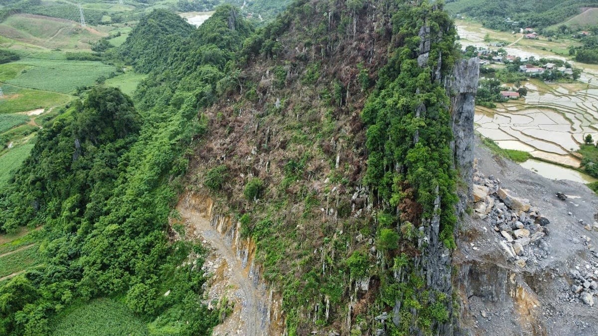 rungthanhphong-1751653248.jpg