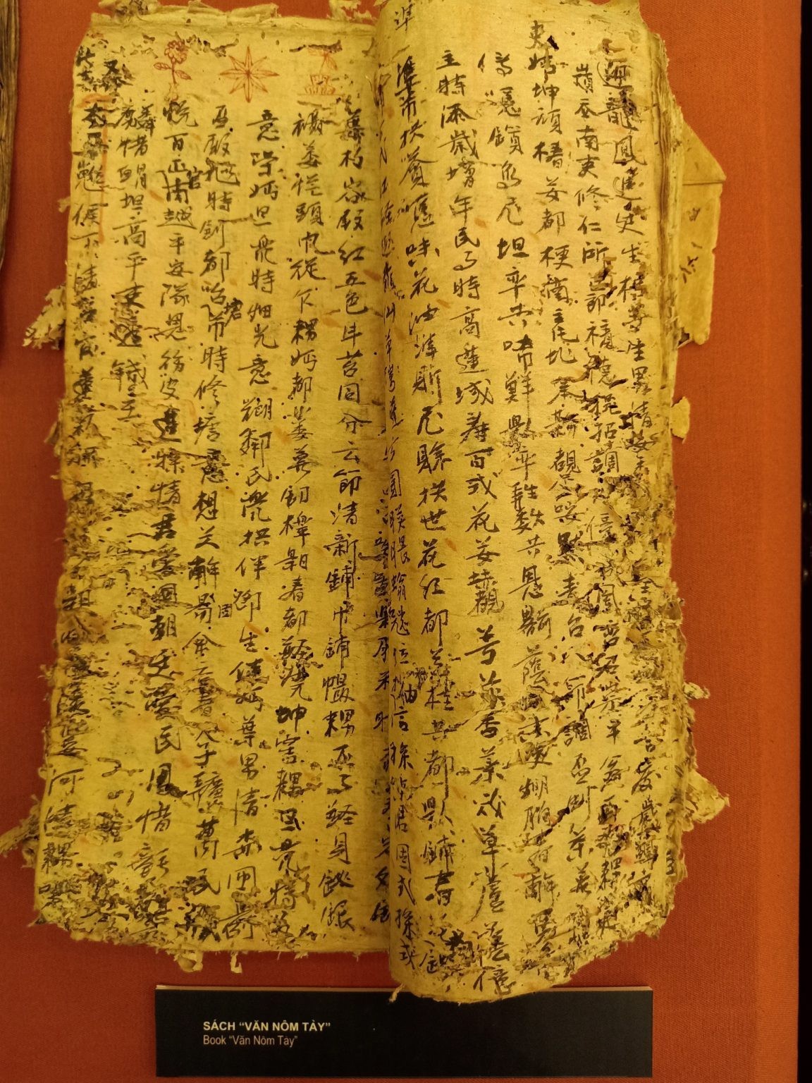 21-1752629432.jpg