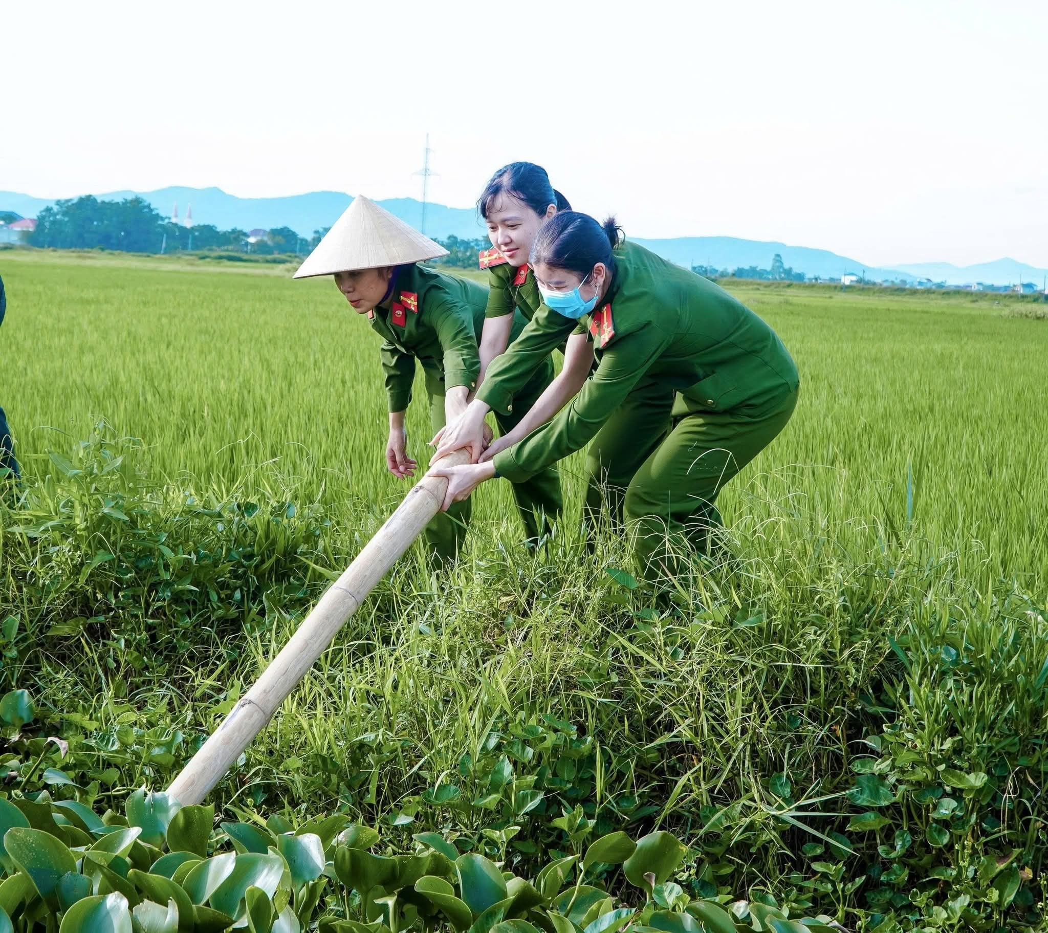 ngay-chu-nhat-xanh-nghe-an-6-1753003300.jpg