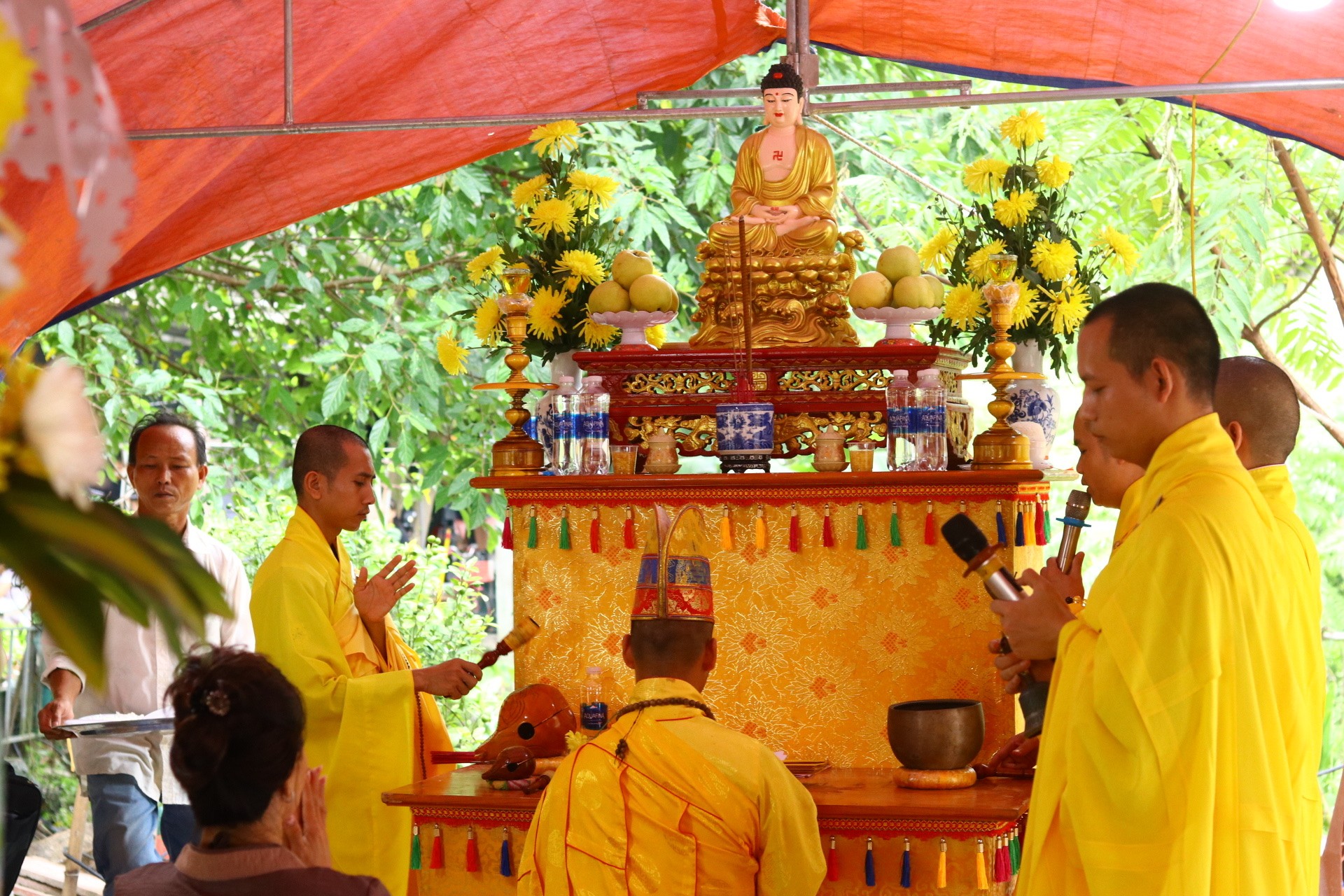 cau-sieu-cho-nan-nhan-tai-cong-ty-van-tai-stnn-4-1754018076.jpg