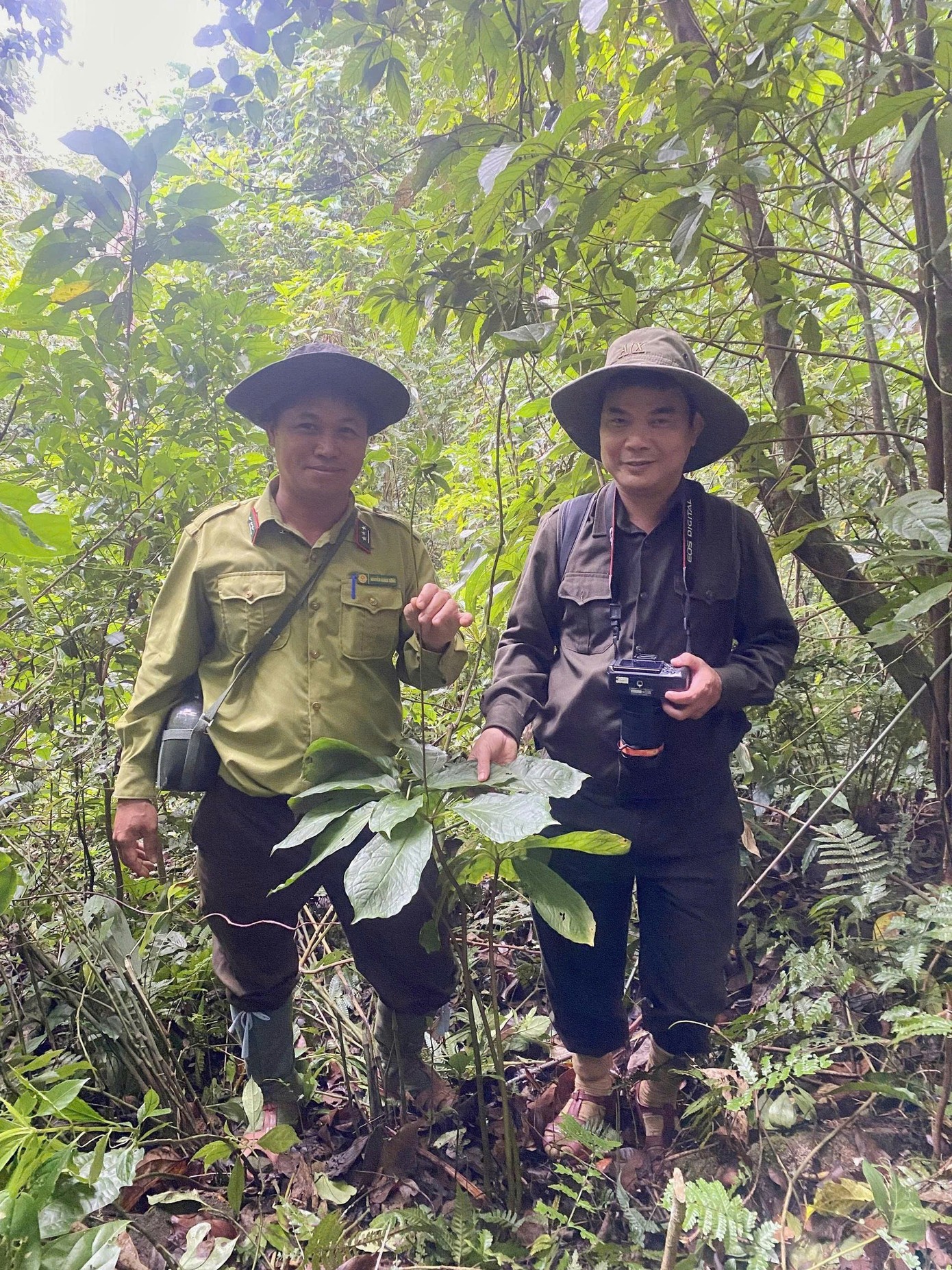 duoc-lieu-quy-tai-quang-tri-stnn-1-1754618297.jpg