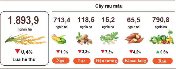 nong-nghiep-thang-7-2025-stnn-1754625004.png