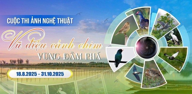vu-dieu-canh-chim-vung-dam-pha-1755501831.jpg
