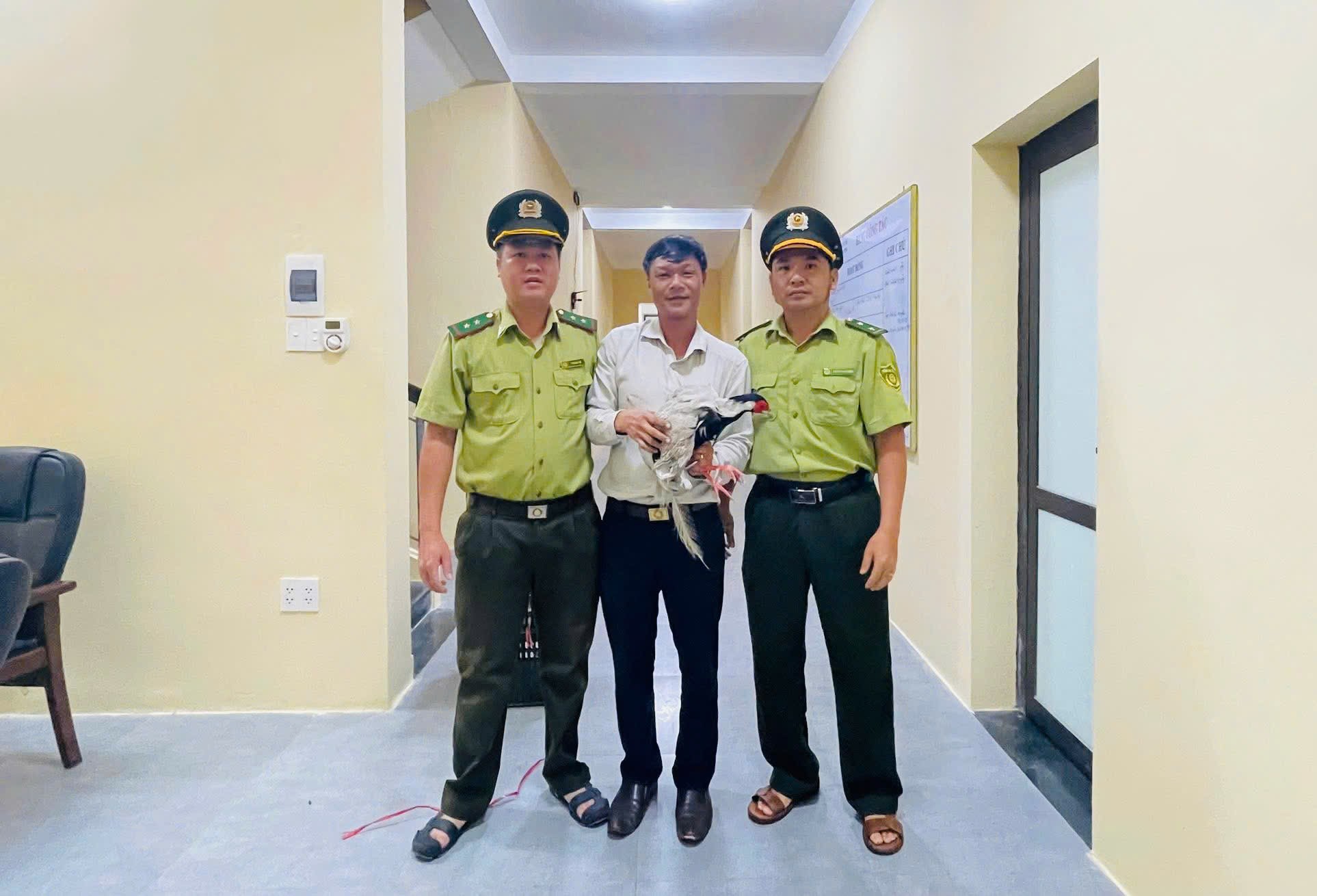 bat-duoc-ga-loi-trang-giao-cho-luc-luong-chuc-nang-tai-hue-stnn-2-1755675271.jpg