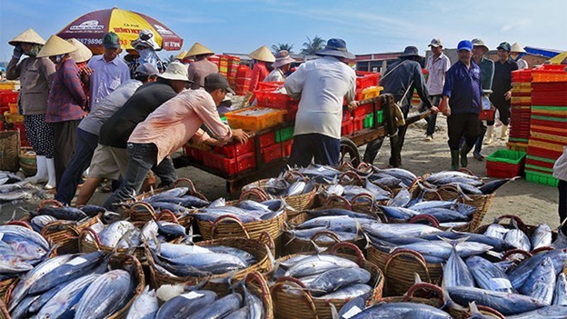 thuy-san-viet-nam-1755840338.jpg