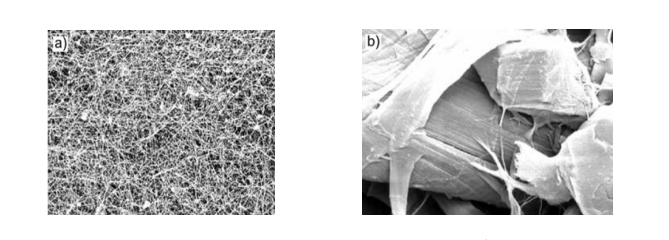 vat-lieu-cellulose-tu-nuoc-dua-stnn-1756108384.png