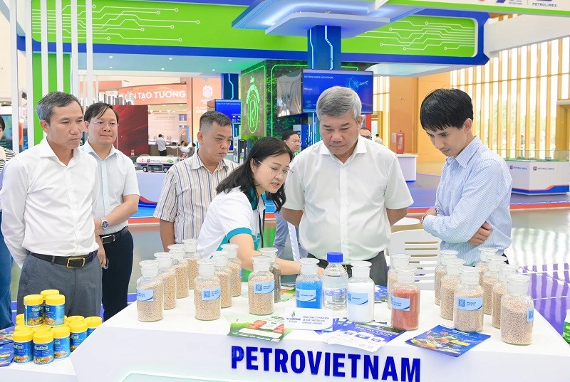 phu-my-2-1756905781.jpg