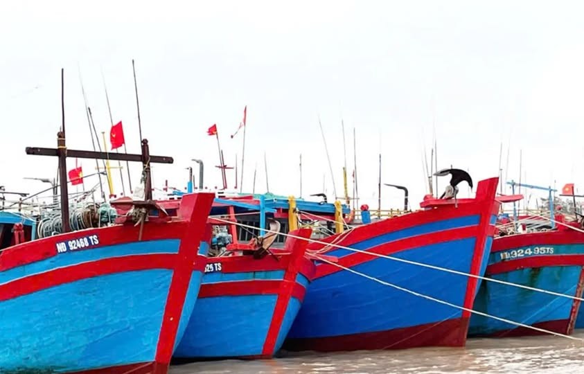 tau-ca-ninh-binh-1757294619.jpg