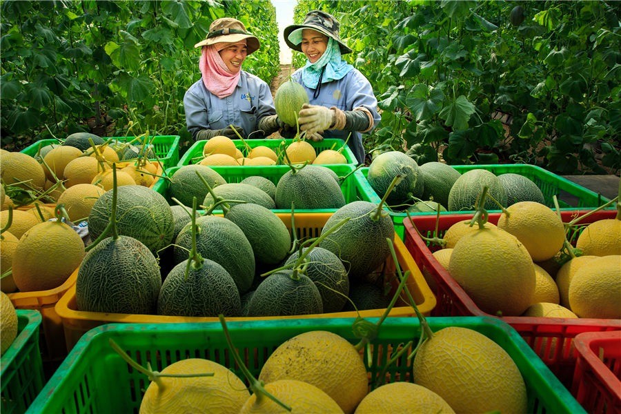 hai-nguon-von-cot-loi-cua-htx-nong-nghiep-2-1757897371.jpeg
