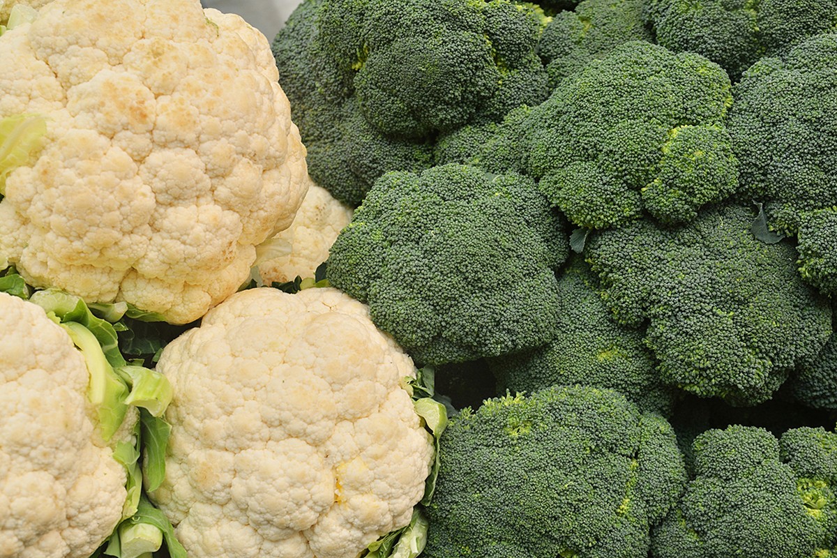 broccoli-fp-img-0030-1758094179.jpg